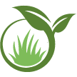 North Myrtle Beach Lawn Clean Up