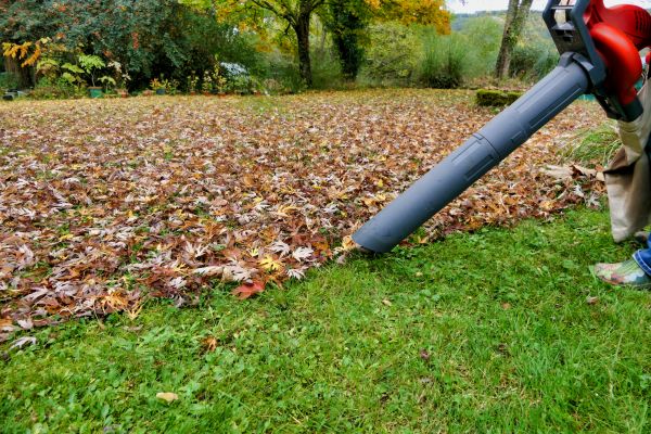 Leaf Vacuuming Service in North Myrtle Beach
