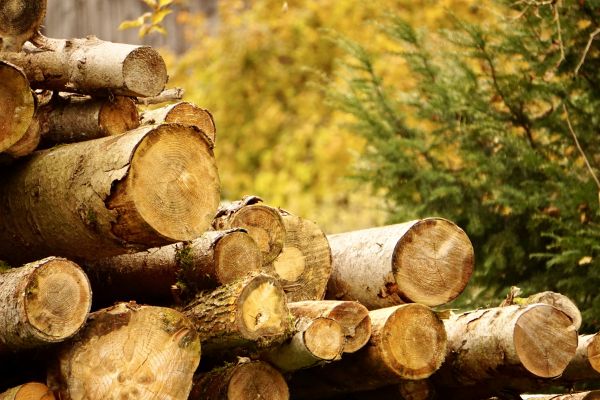 Wood Pile Removal in North Myrtle Beach