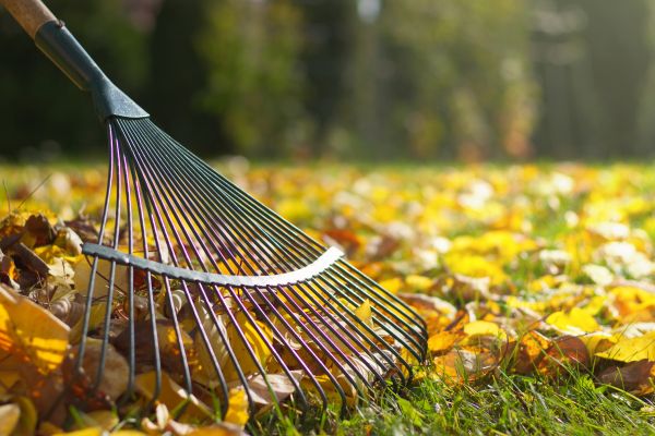 Leaf Raking Service in North Myrtle Beach