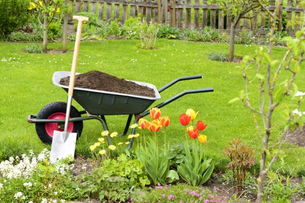 Spring Yard Cleanup in North Myrtle Beach