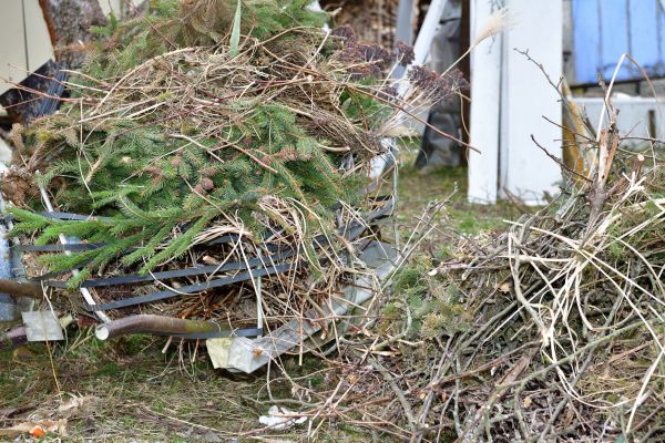 Yard Waste Removal Service in North Myrtle Beach