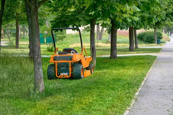 Landscaping Cleanup Service in North Myrtle Beach