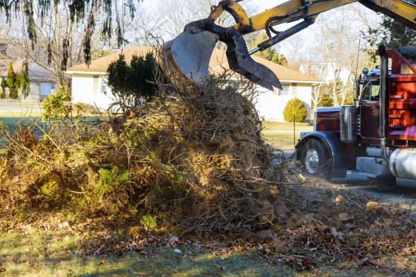 Storm Debris Removal in North Myrtle Beach