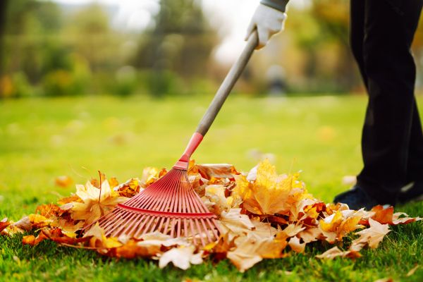 Ditch Leaf Removal in North Myrtle Beach