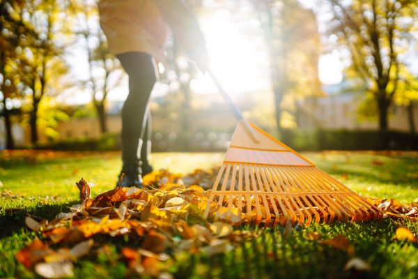 Leaves Raking in North Myrtle Beach
