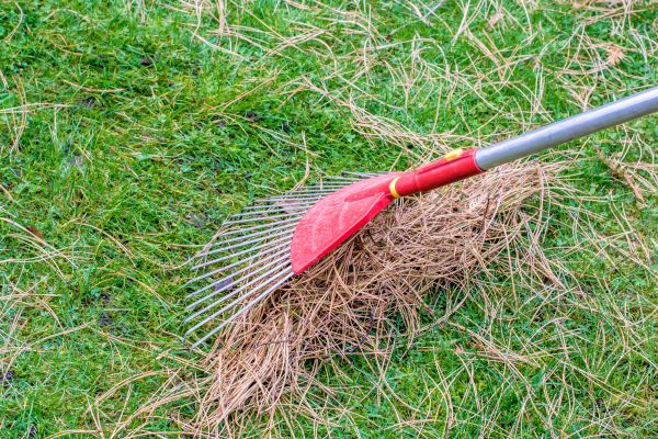 Yard Raking in North Myrtle Beach