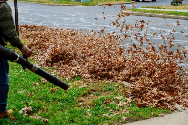 Garden Leaf Removal in North Myrtle Beach