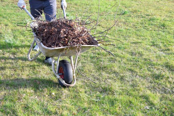Yard Brush Removal in North Myrtle Beach