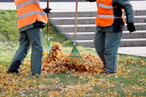 Leaf Hauling Service in North Myrtle Beach