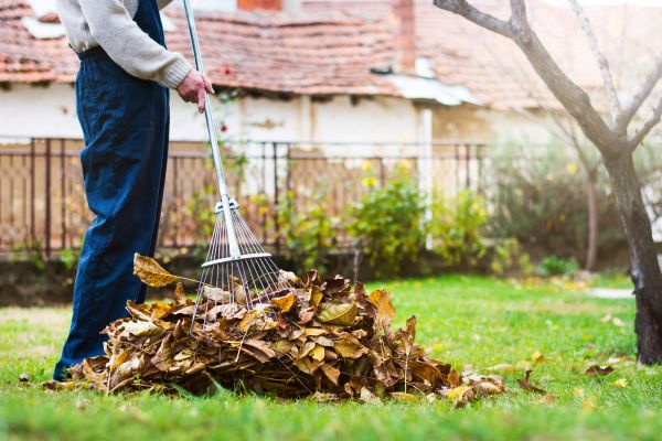 Spring Lawn Cleanup in North Myrtle Beach