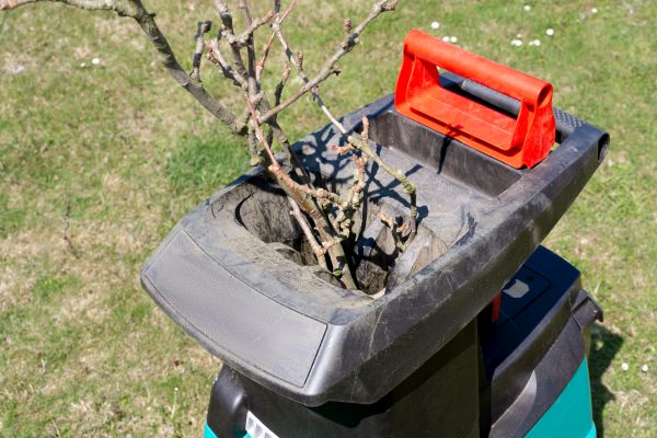 Cost of Brush Cleanup Service in North Myrtle Beach