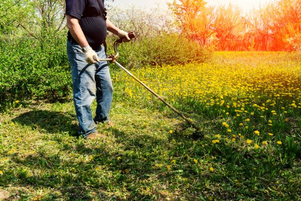 Yard Clearing Service in North Myrtle Beach
