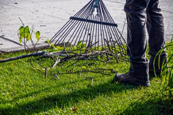 Yard Debris Cleanup in North Myrtle Beach