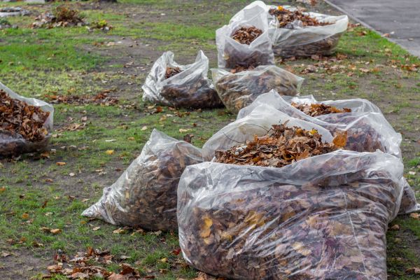 Leaf Pile Disposal in North Myrtle Beach