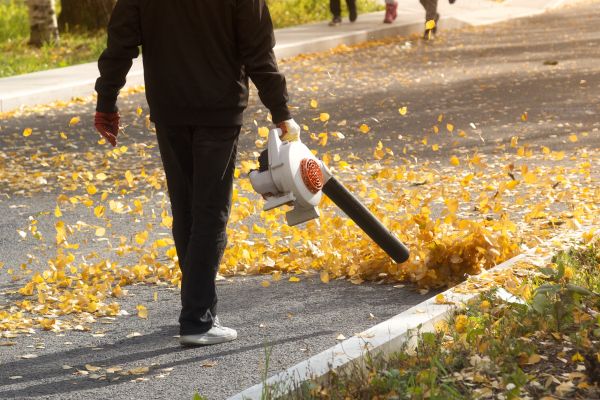 Commercial Leaf Removal in North Myrtle Beach
