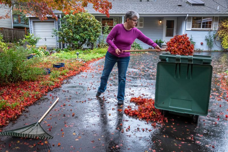 Fall Leaf Cleanup