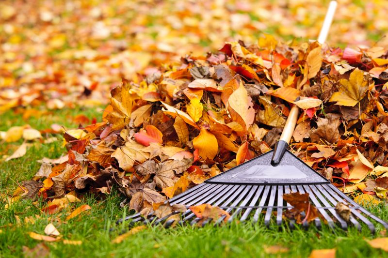 Fall leaf removal