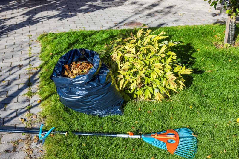 Holiday Lawn Cleanup Deals