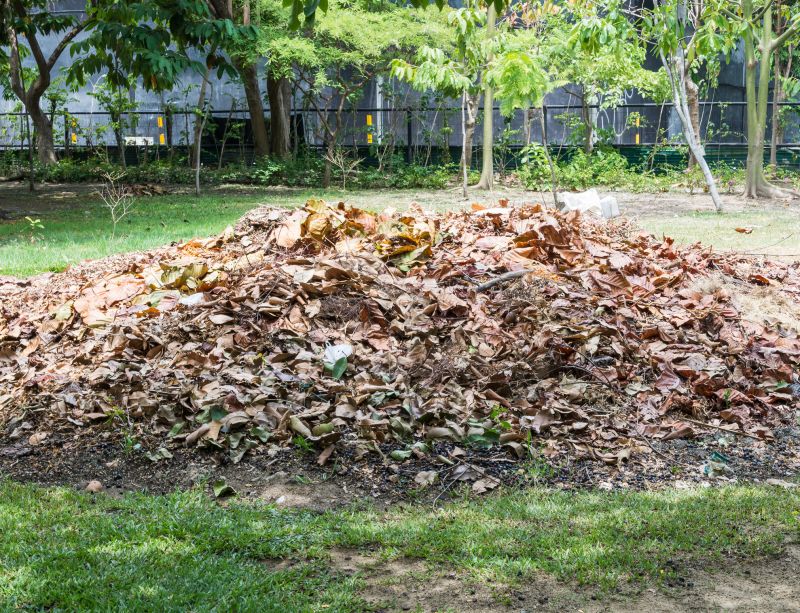 Leaf Pile Disposal