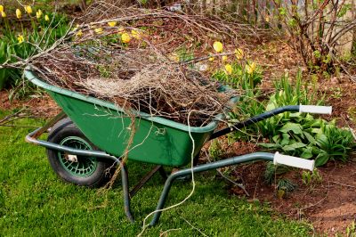Spring Lawn Cleanup