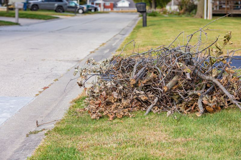Lawn debris removal in North Myrtle Beach