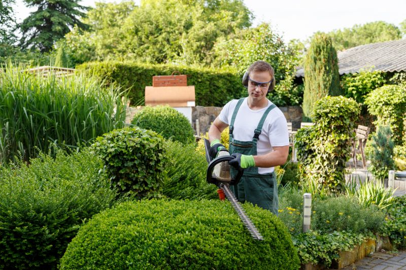 Trimming and pruning services